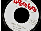 DEVON IRONS-WHEN JAH COME-UPSETTERS-RARE-REGGAE 45 7