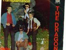 The Dragons 