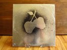 SILVER APPLES Self Titled LP With Poster KAPP SHRINK 68