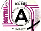 Dog Rose - All for the Love of City Lights - Rare UK GLAM 1972 -Hear