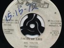 FACTS OF LIFE / A B C Big Youth (THATS LIFE Delano Stewart & Gaylads 
