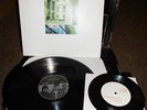 Starflyer 59 - The Fashion Focus 12
