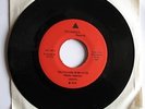 DEATH '76 Detroit Punk 7