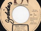 THE VAPORS-TURNING JAPANESE-GUATEMALA RARE SINGLE