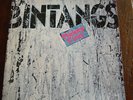 Bintangs - Mickey Finn  LP 80  Dutch blues\rock  NM Fold out Cover