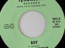 rare Ohio Soul 45 CLEVELAND ROBINSON boy NOSNIBOR Hear