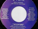 rare Modern Soul Boogie 45 PAT LIVINGSTON wildfire U-TONE Hear