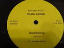 Incredibly Rare Punk Rock 45 RPM Dada Banks Microwave & Communism PS and Insert