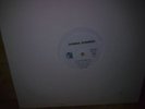 DONNA SUMMER la vie en rose 12