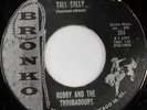 rare Chicago Trash Rocker 45 BOBBY & TROUBADOURS long tall sally BRONKO