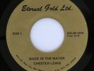 Psych Funk Sacred Steel Black Gospel 45 - Chester Lewis - Eternal Gold - mp3