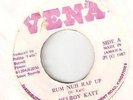 DELROY KATT Rum nuh rap up / Version Vena Rare JA reggae 7