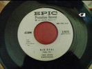 1958 ROCKABILLY 45 **BIG DEAL/WHILE I'M AWAY** SKEE BROTHERS on EPIC promo