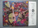 LP Roky Erickson & Aliens  same  Thirteenth Floor Elevators  Two headed dog