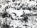 ? TOOLS (USA; CA) - Hard Wark // SF Punk 1980 // 2nd 7''// pre CODE OF HONOR ?