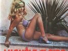 MICHELE CLAIRE nice and slow MONSTER P. ADAMS PROD PROMO DISCO  7