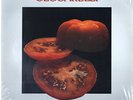 ANDRE CECCARELLI s/t FACTORY SEALED RARE TOMATOES COVER JAZZ FUNK LP
