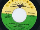 James Fountain - Burning Up / Hair Is Nappy  7