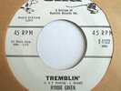 NORTHERN 45-BYRDIE GREEN-TREMBLIN' /MEMORIES ARE MADE O