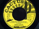 Errol Carter - Ram Goat Malish Water UK Cactus orig 45 ??