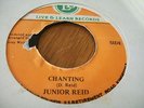 Junior reid CHANTING Live & Learn  7