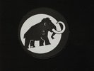 Mam – Mammut Caps Corp - Spiral tribe network 23