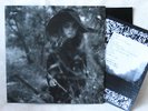 GROUPER dead deer lp 3rd version private press OOP femme psych MISSISSIPPI MINT