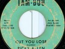 RICKY ALLEN Cut You Lose FUNK 45 on TAM-BOO 6720
