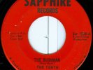 TENTH DYMENTIONS Bushman CHICAGO FUNK 45 on SAPPHIRE VG++