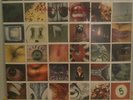 Pearl Jam No Code LP Flawless Factory Sealed Mint US Original