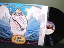 Steve Hillage 