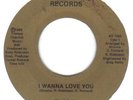  MODERN SOUL BOOGIE    SHASHA   YOU'LL LIKE IT  /  I WANNA LOVE YOU