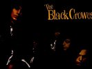THE BLACK CROWES LP 33 GIRI MAI SUONATO SHAKE YOUR MONEY MAKER