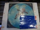 IRON MAIDEN SEVENTH SON OF ...RARE PIC DISC PLUS BANNER NWOBHM SAXON ANGELWITCH