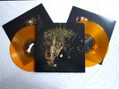 WOLVES IN THE THRONE ROOM TWO HUNTERS RARE 2X ORANGE LP