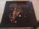 Wolves in the Throne Room 
