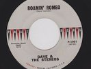 Rare '61 W. Coast Doowop/Teen R&R DAVE & STEREOS Roamin' Romeo HEAR BOTH SIDES