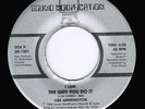 LISA WARRINGTON  /  I LIKE THE WAY YOU DO IT  /       