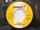 PETER BROGGS - VAMPIRE - IMPACT