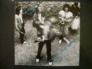 GUNTER HAMPEL: Life on the planet 1982 / COVER / LP MINT / SIGNED BY KEYSERLING