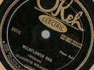Clarence Williams piano solo Wildflower Rag Organ Grinder Blues Okeh 8604 78 rpm