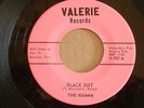 Rare 45 garage record, The Iguana, 