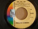 Rare 45 record, Unrelated Segments 