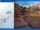 DAVID CHALMERS Looking for Water * ORIG * PSYCH FOLK LOCAL PRIVATE LP