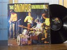 THE ANIMALS LP ANIMALISM ORIGINAL MGM MONO in SHRINK VG++NM-
