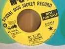 ERIC BURDON & THE ANIMALS IT'S MY LIFE US PROMO DJ 45 MGM WAREHOUSE FIND
