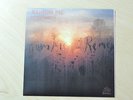 Cranium Pie - Rememberrr / Mothership 7