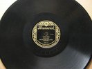 Fess Williams' Royal Flush Orchstra on Brunswick 3596 in 