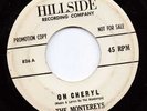 DOOWOP TEEN--HILLSIDE--MONTEREYS---HEAR BOTH - PROMO