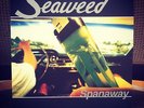 SEAWEED Spanaway 1995 PROMO 12